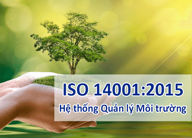 ISO - NewTec Group